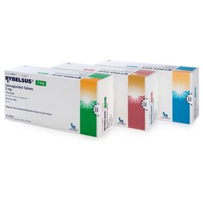 Rybelsus Tablets 7mg  x 30