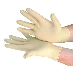 Latex Powder Free Gloves - Large x100